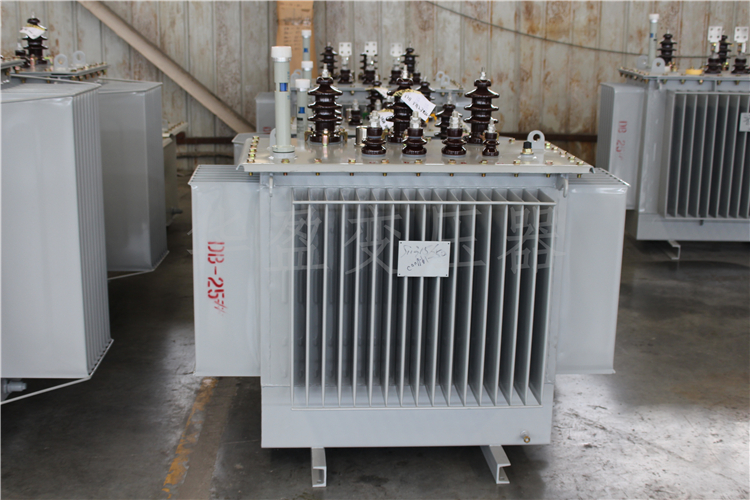 南宁S20-800kVA/10kV/0.4kV变压器